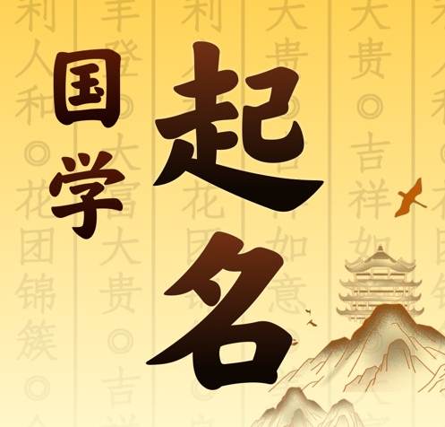渝中国学起名 人工起名一对一